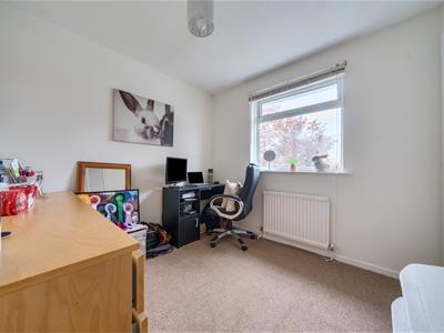Picture 12